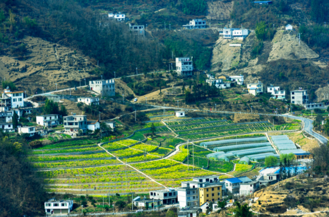 土壤墑情監(jiān)測(cè)系統(tǒng)在哪兒建站都行嗎？土壤墑情監(jiān)測(cè)系統(tǒng)的建站原則和選址要求