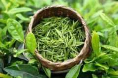 茶葉農(nóng)藥檢測儀在中藥材生產(chǎn)基地的應用 茶葉農(nóng)藥檢測儀在中藥材生產(chǎn)基地的應用